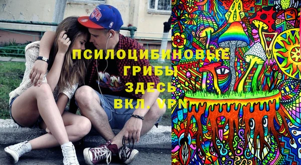 соль ск Аркадак