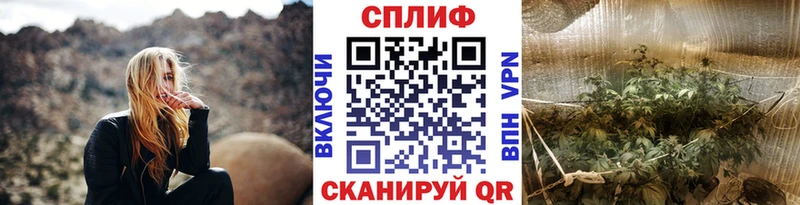цены   Теберда  Конопля индика 